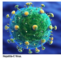 HGepatitis-C virus